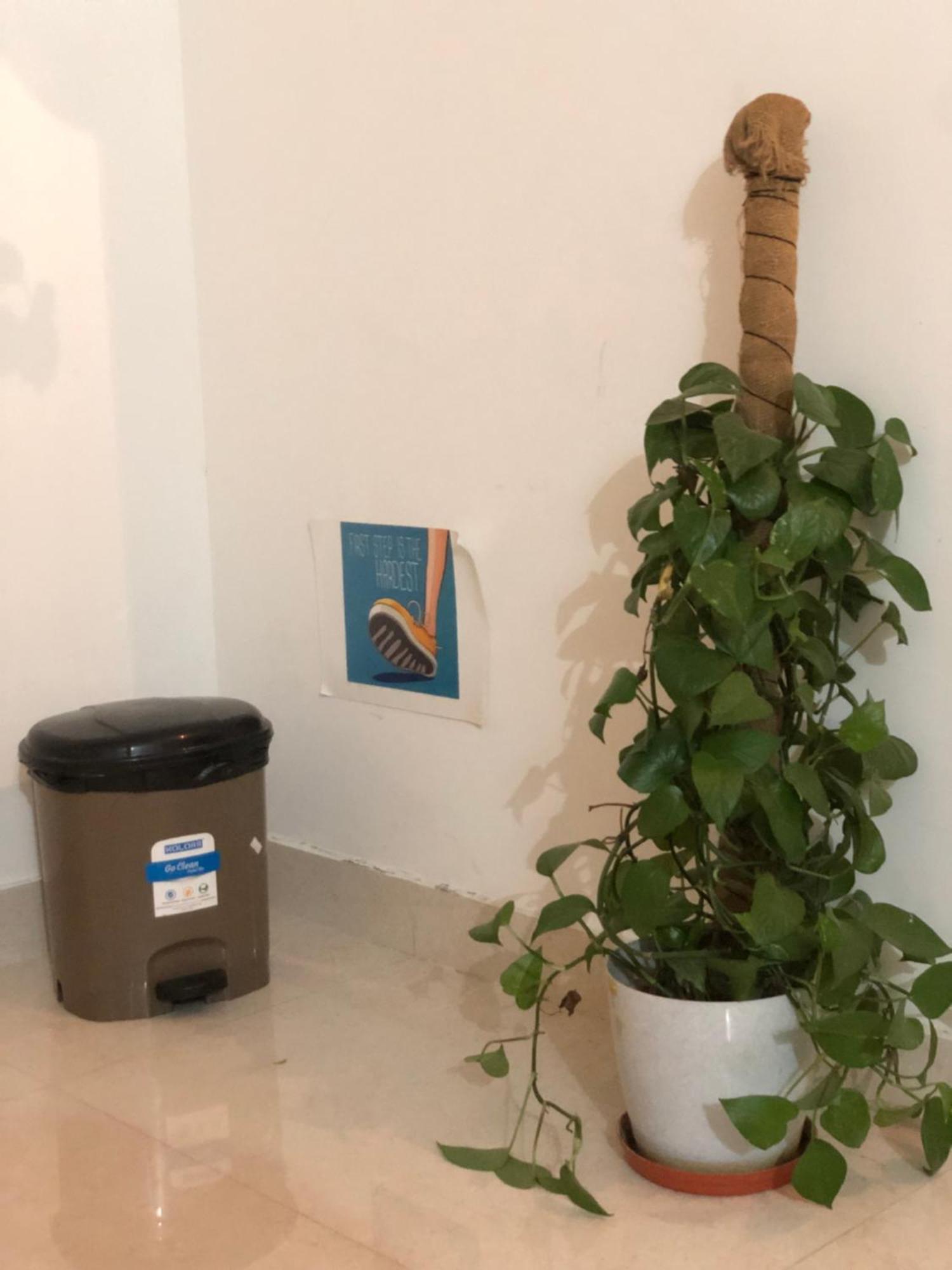 Sapthagiri Nest Apartment Chikmagalur Bagian luar foto